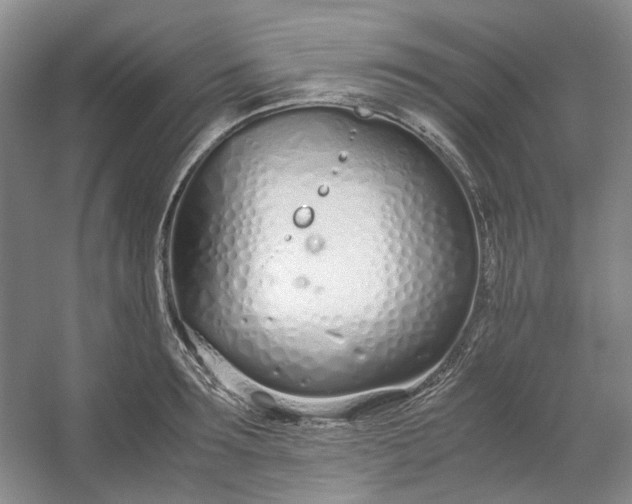 X0000053070899200507251456