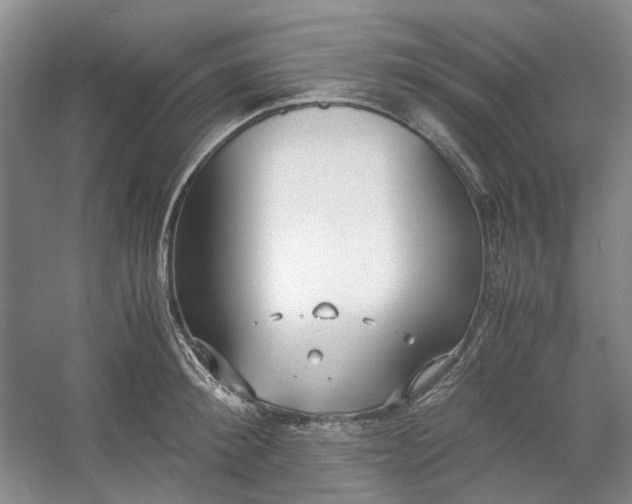 X0000053070900200507251456