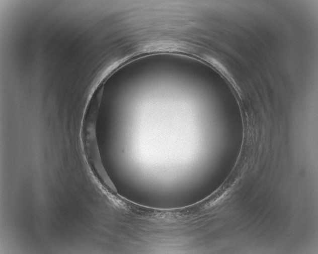 X0000053070901200507251456