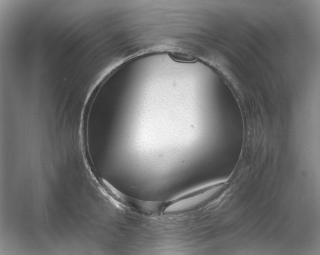 X0000053070902200507251456