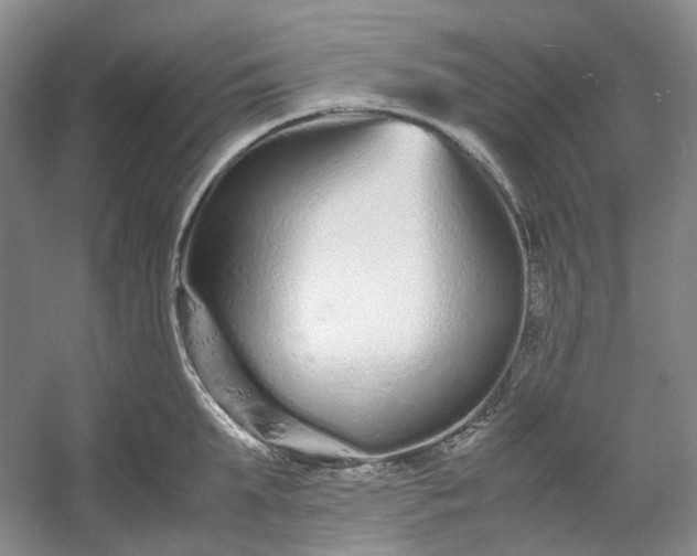 X0000053070903200507251456