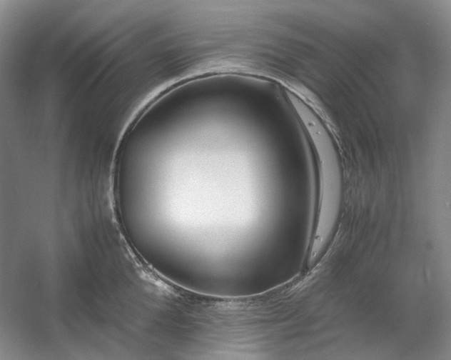 X0000053070904200507251456