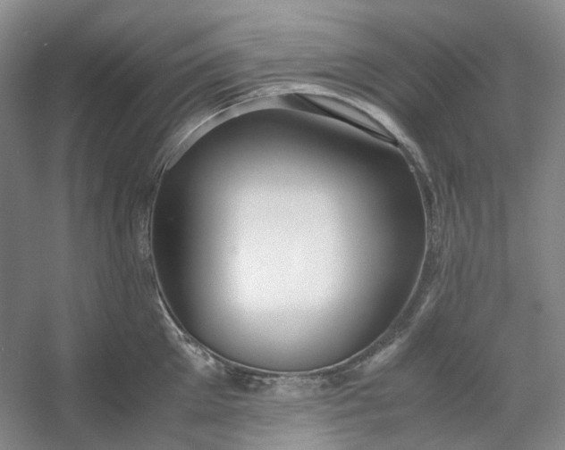 X0000053070905200507251456