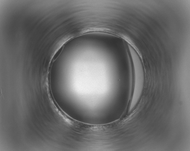 X0000053070906200507251456