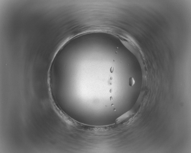 X0000053070907200507251456