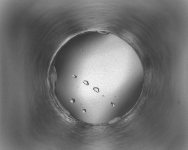 X0000053070908200507251456