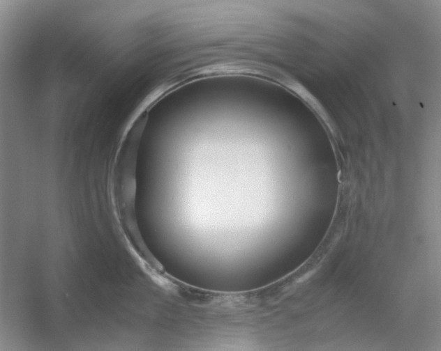 X0000053070909200507251456