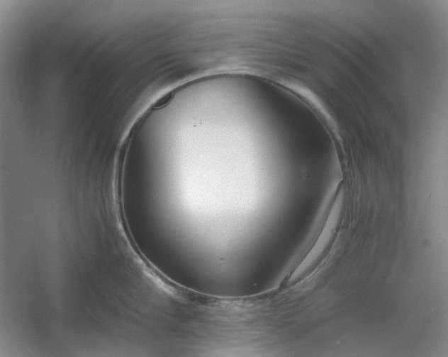 X0000053070910200507251456