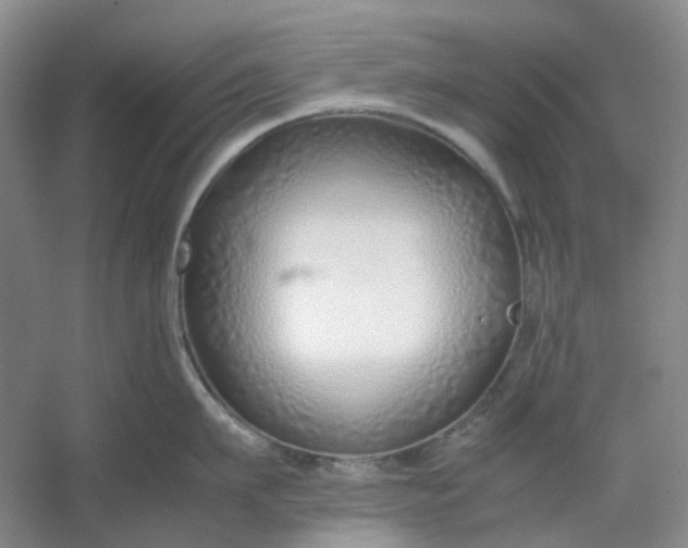 X0000053070911200507251456