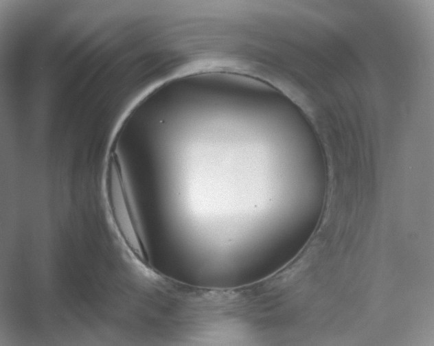 X0000053070912200507251456