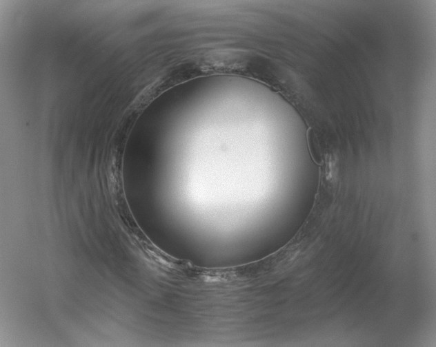 X0000053070915200507251455