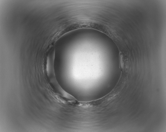 X0000053070916200507251455