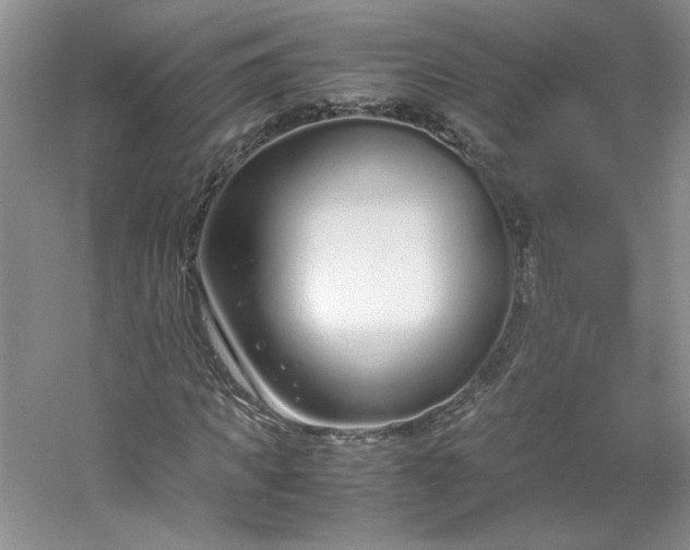 X0000053070917200507251455