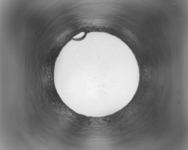 X0000053070918200507251455