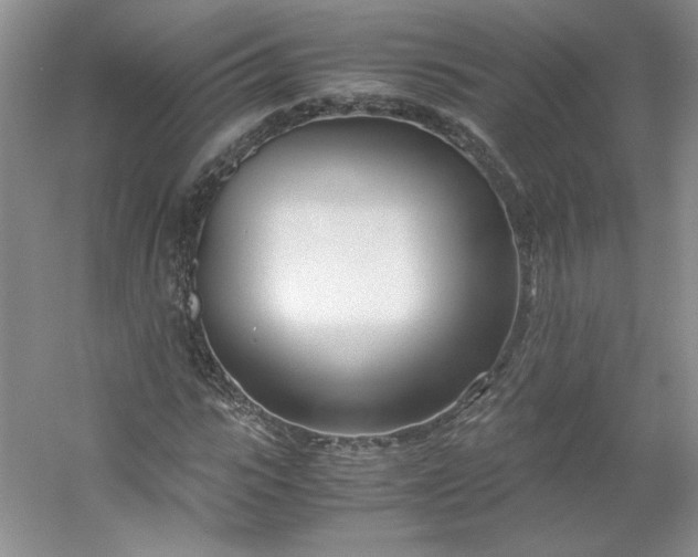 X0000053070919200507251455