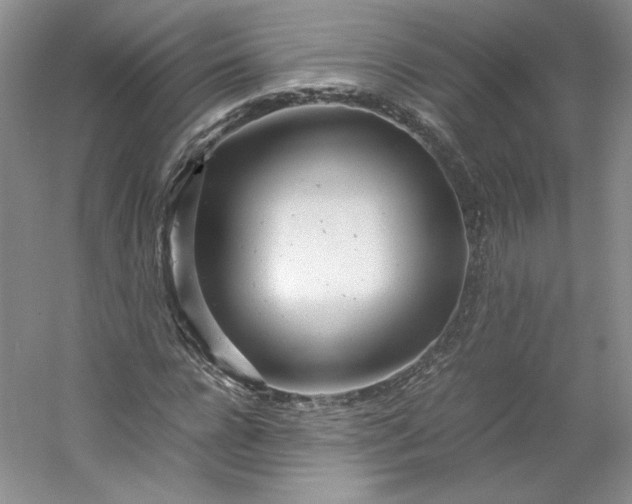 X0000053070920200507251455