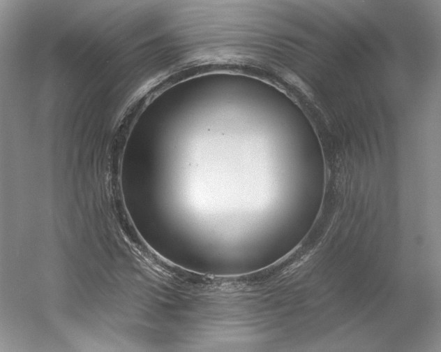 X0000053070922200507251455