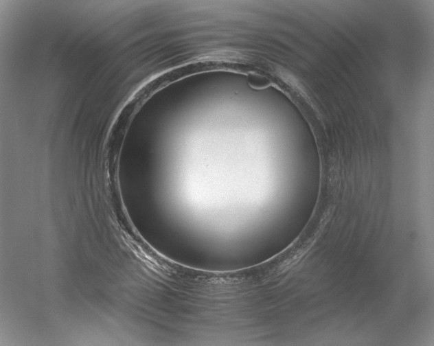 X0000053070923200507251455