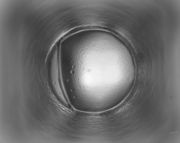 X0000053070925200507251455