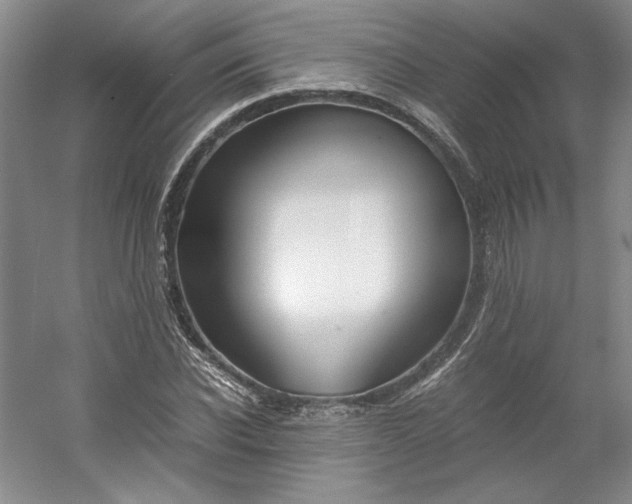 X0000053070926200507251455