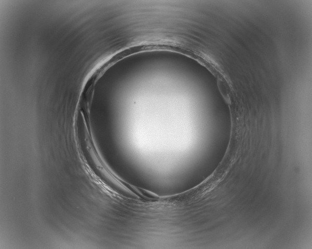 X0000053070928200507251455