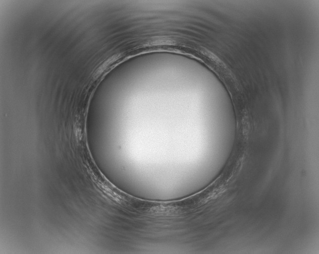 X0000053070929200507251456