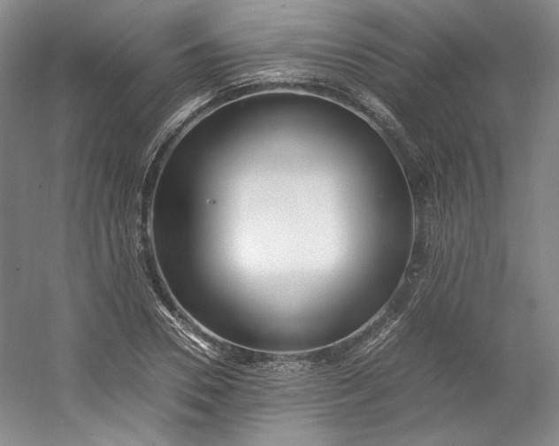 X0000053070930200507251456