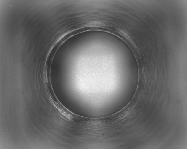 X0000053070931200507251456