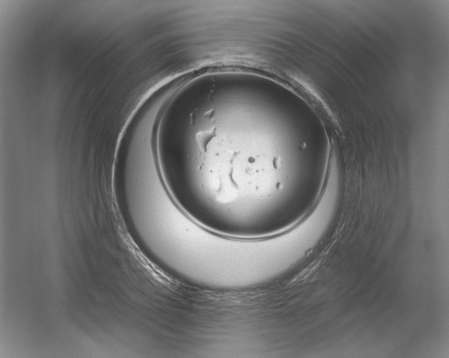 X0000053070932200507251456