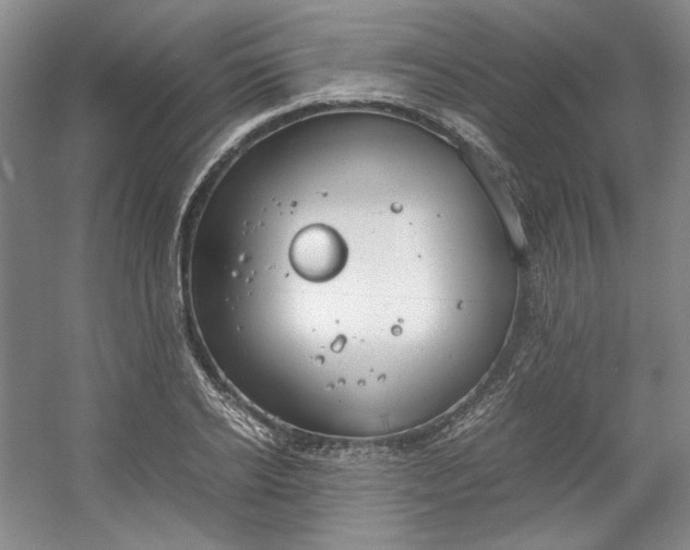 X0000053070934200507251456