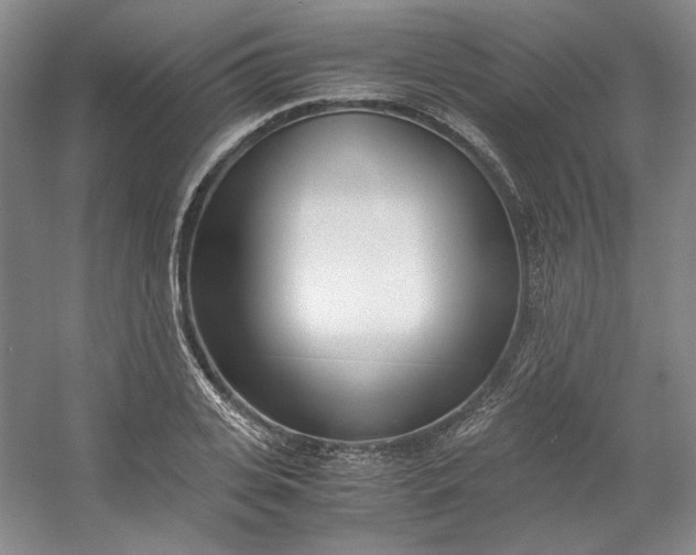 X0000053070935200507251456