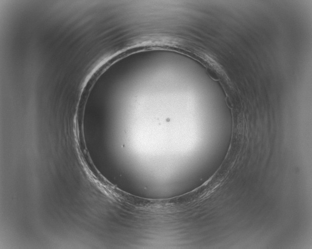 X0000053070936200507251456