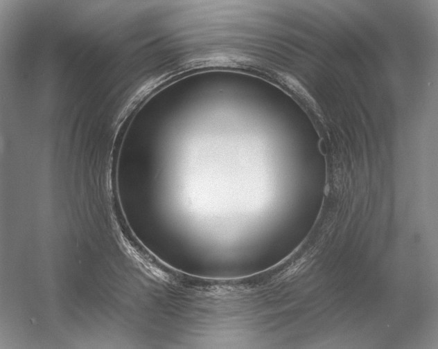 X0000053070938200507251456