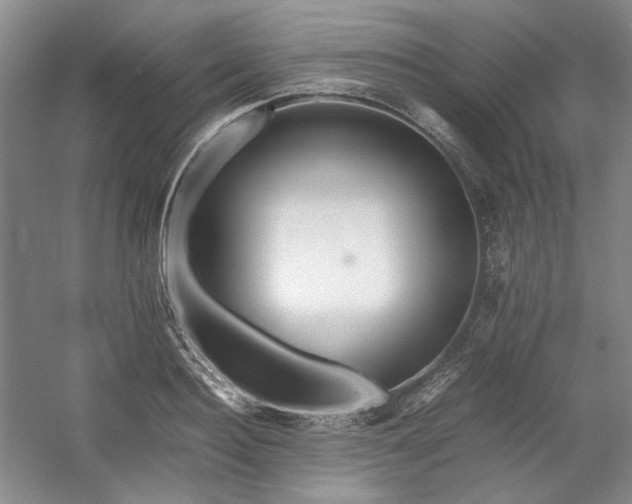 X0000053070940200507251456