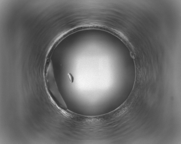 X0000053070943200507251456