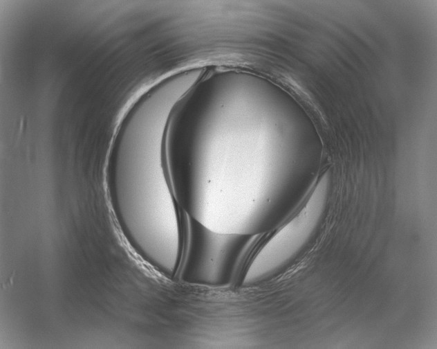 X0000053070944200507251456