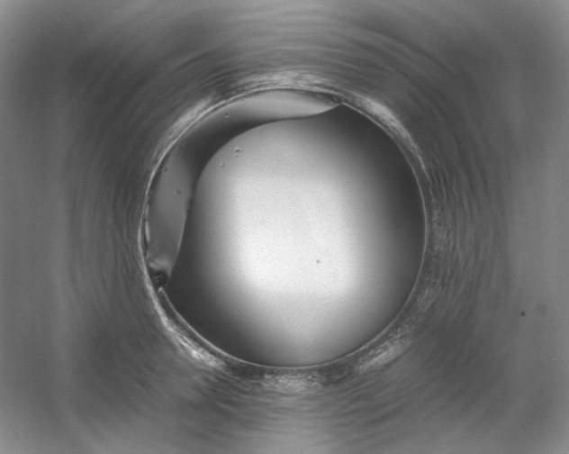 X0000053070946200507251456