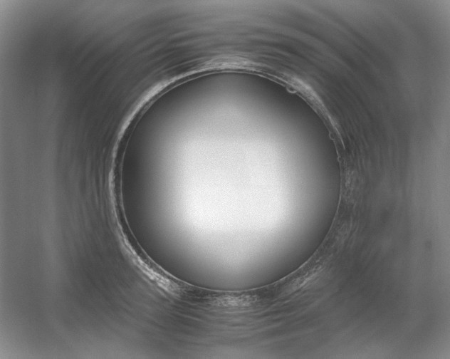 X0000053070947200507251456