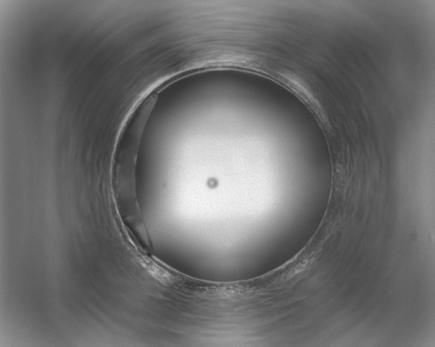 X0000053070948200507251456