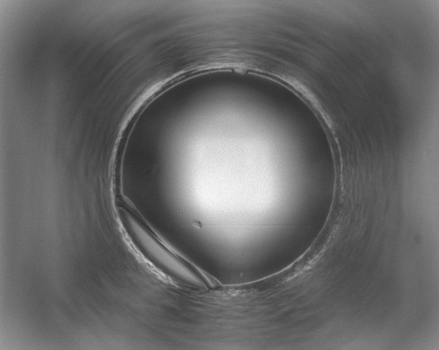 X0000053070949200507251456