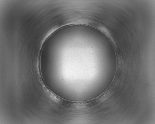 X0000053070952200507251456