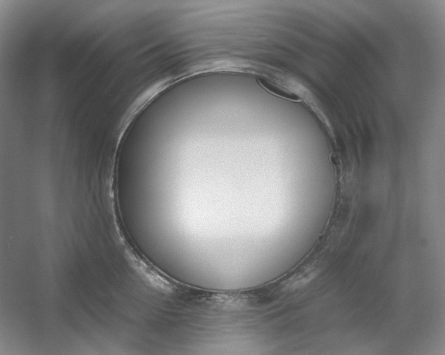 X0000053070954200507251456