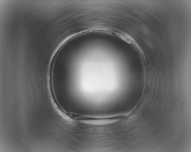 X0000053070955200507251456