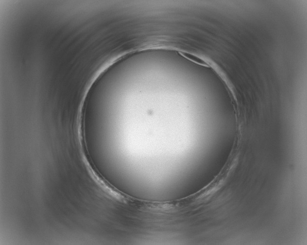 X0000053070957200507251456