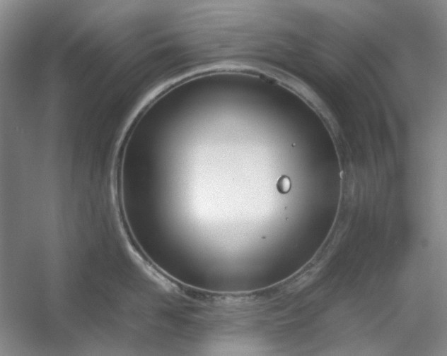 X0000053070958200507251456