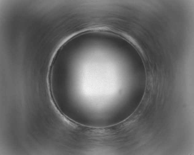 X0000053070959200507251456