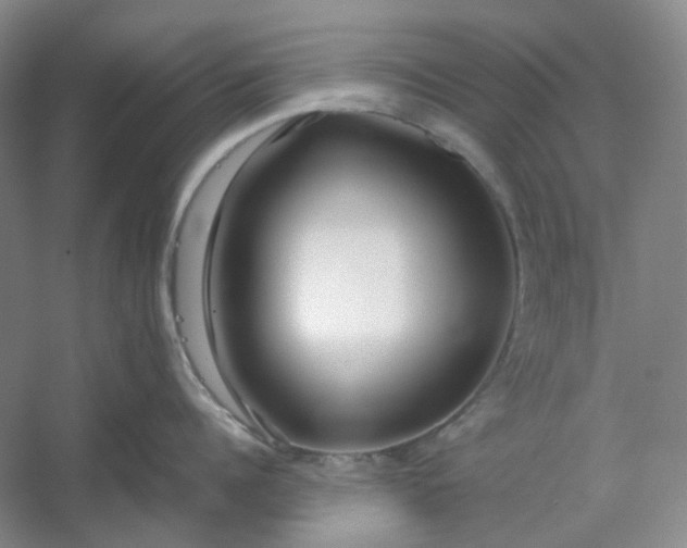 X0000053070960200507251456