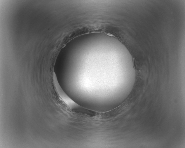 X0000053070961200507251455