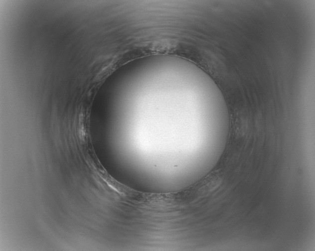 X0000053070962200507251455