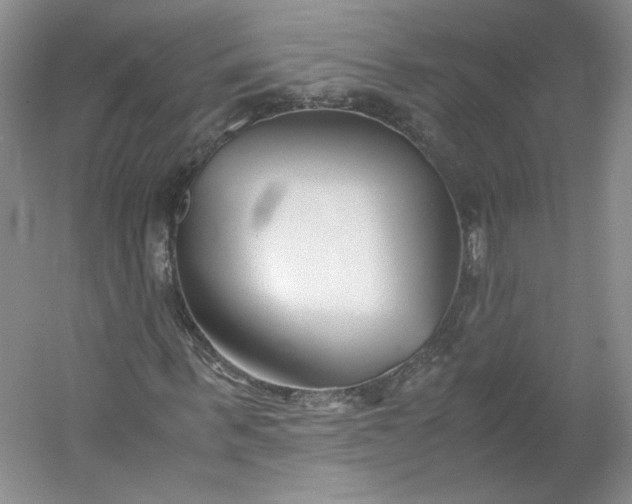 X0000053070963200507251455